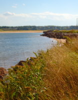 Looking up the coastline on Prince Edward Island